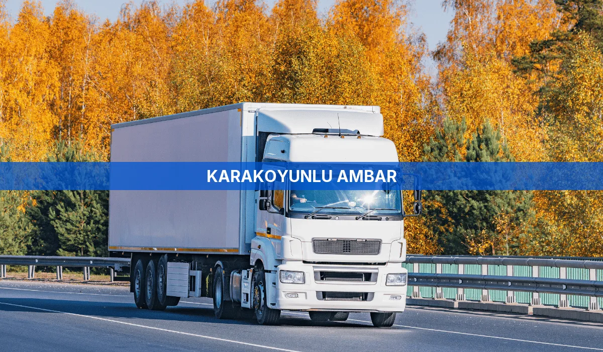 Karakoyunlu Ambar